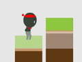 Lalao Ninja the Jump