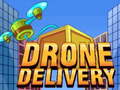 Lalao Drone Delivery
