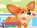 Lalao Cute Animals Emergency Hospital