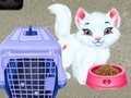 Lalao Baby Taylor Pet Care