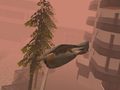 Lalao Fly Like a Bird 4