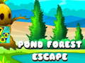 Lalao Pond Forest Escape