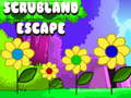 Lalao Scrubland Escape