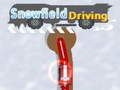Lalao Snowfield Driving