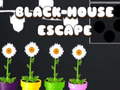 Lalao Black House Escape