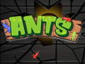 Lalao Ants