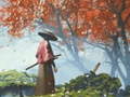 Lalao Samurai Reflexion