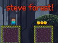 Lalao Steve Forest