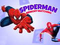 Lalao Spiderman Memory Matching