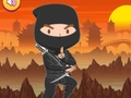 Lalao Trained Ninja Puzzle