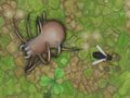 Lalao Antwar.io