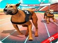 Lalao Crazy Dog Race