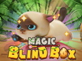 Lalao Magic Blind Box
