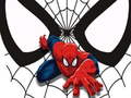 Lalao Spiderman Match Cards