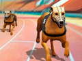 Lalao Dogs3D Races