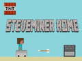 Lalao Steveminer Home