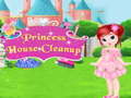 Lalao Princess House Cleanup