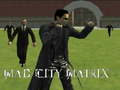 Lalao Mad City Matrix