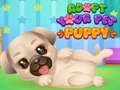 Lalao Adopt Your Pet Puppy