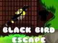 Lalao Black Bird Escape