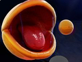 Lalao Pac-Man 3d