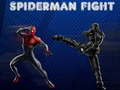 Lalao Spiderman Fight