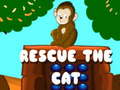 Lalao Rescue The Cat