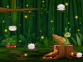 Lalao Snail Run