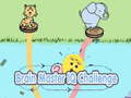Lalao Brain Master IQ Challenge