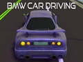 Lalao BMW car Driving 