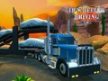 Lalao 18 Wheeler Driving Sim