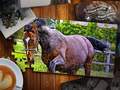 Lalao Jigsaw Puzzle Horses Edition