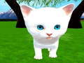 Lalao Cutie cat
