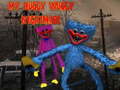 Lalao My Huggy Wuggy Nightmare