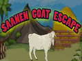 Lalao Saanen Goat Escape