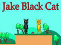 Lalao Jake Black Cat