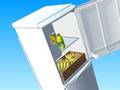 Lalao Fill Fridge