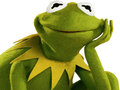 Lalao Coloring Book For Kermit the Frog 