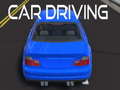 Lalao Car Driving