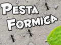 Lalao Pesta Formica