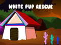 Lalao White Pup Rescue 