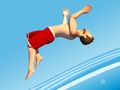 Lalao Flip Divers