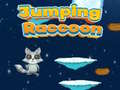 Lalao Jumping Raccoon