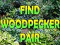 Lalao Find Woodpecker Pair 