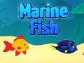 Lalao Marine Fish