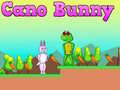 Lalao Cano Bunny
