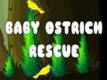 Lalao Baby Ostrich Rescue