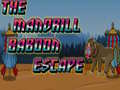 Lalao The Mandrill Baboon Escape