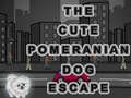 Lalao Cute Pomeranian Dog Escape