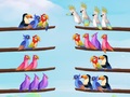 Lalao Bird Sort Puzzle